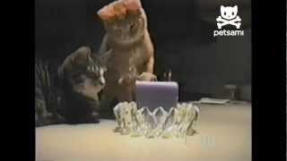Cat Swipes Candle