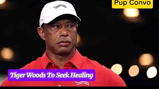 Tiger Woods says he's stepping away to seek treatment after DUI incident | Ent Stories