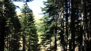 Montenegro bend - Vjecna da si