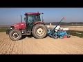 Semanat floarea soarelui-Case IH JX 95+Monosem