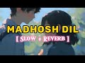 Madhosh dil ki dhadkan  90s bollywood evergreen song  slowedandreverb