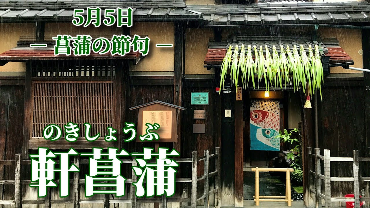 軒菖蒲 端午の節句 Youtube
