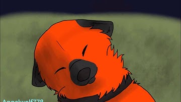 Move Along MAP ~part 7~