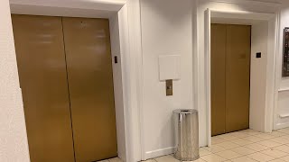 Haughton Traction elevator at Macy’s Oakbrook Center in Oakbrook Illinois