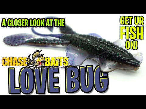 Closer Look at the Chasebaits Love Bug - Bass Fishing Creature Bait 