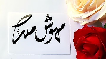 Mehwish Malik name