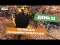 День11. Что мне дал #100днейютубчеллендж