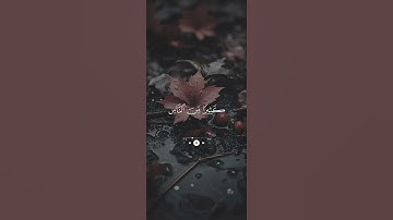 القارئ |احمد النفيس #القران