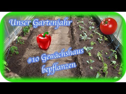 Video: Pflanzen In Gewächshäusern Und Gewächshäusern Pflanzen