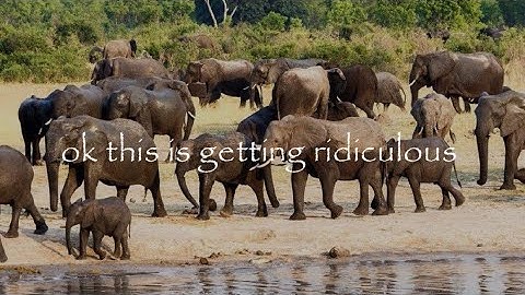 Animatic Battle 4A but only when Eject is on screen