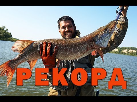 18 Щука и голавль на реках Хопер и Ворона, ловля щуки Black Hole Jerk Boy 18 Щука и голавль на реках Хопер и Ворона, ловля щуки Black Hole Jerk Boy