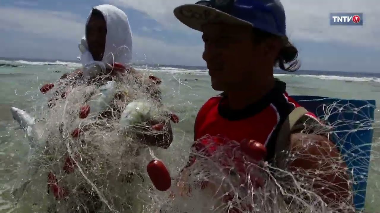 TENANIA (Partie 2/4)