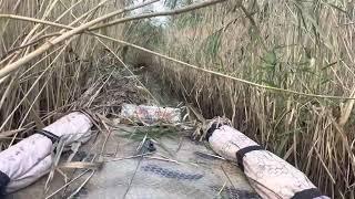 видео: В поисках дичи!🦆🦆🦆 картинка: В поисках дичи!🦆🦆🦆