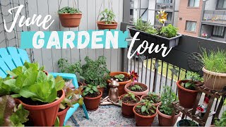 June Garden Tour | Growing on My 84 Sq Ft Balcony!