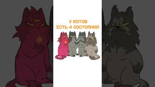 Банда #shortsvideo #youtubeshorts #shortvideo #animals #animation #cat #art #draw #memes #meme #top