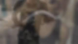 R.I.P kawan padang dalanmu jembar kuburmu koncoku (adiyansyah) edot😢