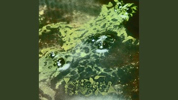 Environment & Adaptation/Glandirana-Ki