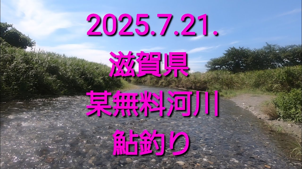 Free River Ayu Fishing Exploration (2025.7.21.) Are there any fish
