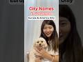 City Names in Japanese! 🇯🇵