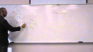 Indicating Hybridization of Carbon Atoms 002