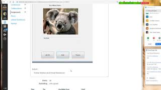 Introduction to  Programming - CIT 111 midterm Review