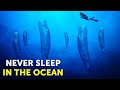 That's How Ocean Animals Survive on No Real Sleep