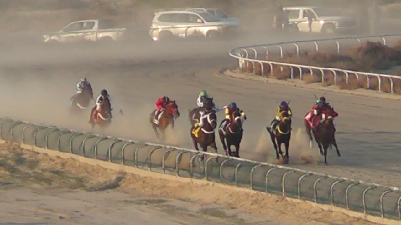 ميدان فروسية الخفجي - الحفل التاسع- الشوط الخامس( السيارة )  -12/01/2021