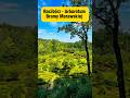 Zaczarowany Ogród na Śląsku. Racibórz #racibórz #ogród #śląsk #podróże #polska #shorts #arboretum