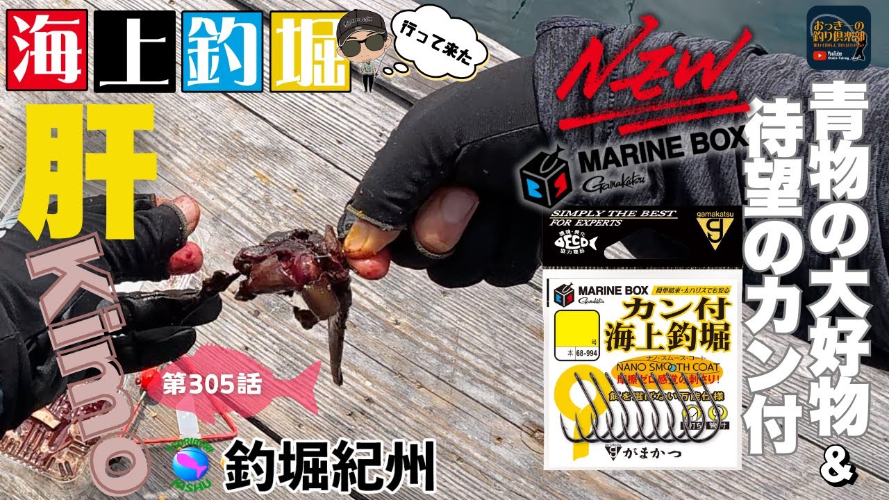 【海上釣堀】肝で追い喰い！先行使用‼️待望のカン付鈎Gamakatsu MARINE BOX