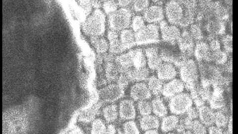 Hitachi S-4800 SEM aperture alignment