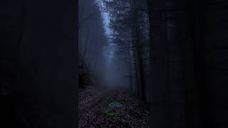 Download Lagu DJ JAWA TERBARU 2023 SLOW BASS JATIM TERBARU 2023 CUNDAMANI || VIRAL TIKTOK|| MP3