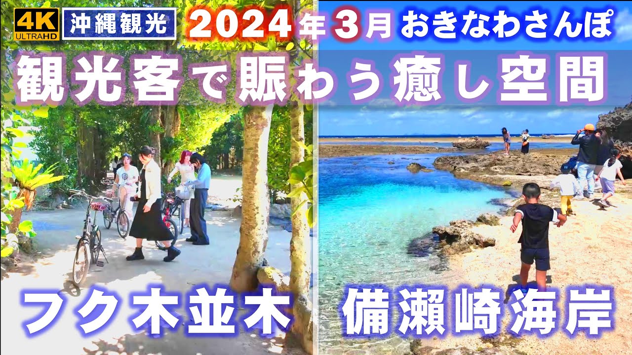 ◤沖縄観光／街並み／自然◢ 観光客で賑わうヒーリングスポット『備瀨集落／フクギ並木／備瀨崎海岸』 ♯697  沖縄旅行 おきなわさんぽ 沖縄散歩