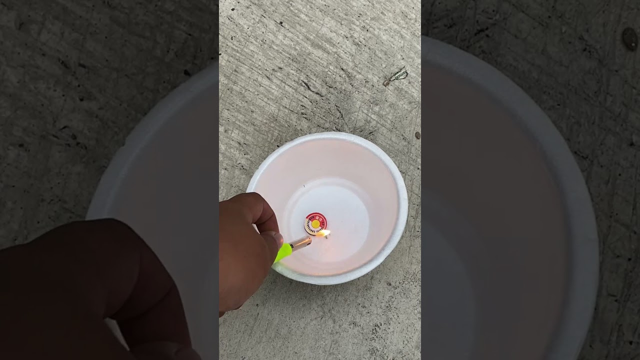 Main Petasan Angry Bird 