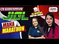 Cs executive  jigl maha marathon  covering all imp chapters   mepl classes