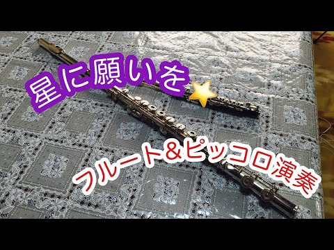 【フルート＆ピッコロアンサンブル】フルート＆ピッコロ演奏星に願いをvlog