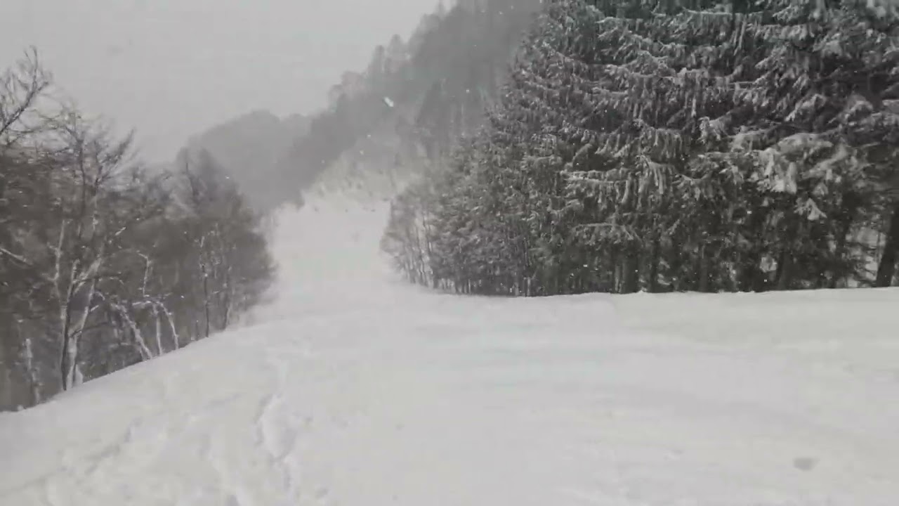 スキー 2026 02 09 かたしな高原スキー場 15 もくせいコース＋なでしこコース