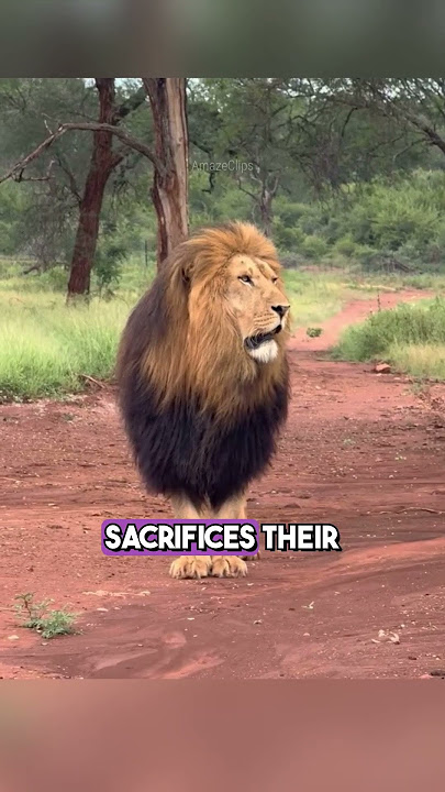 fascinating animal facts you were never supposed to know about!