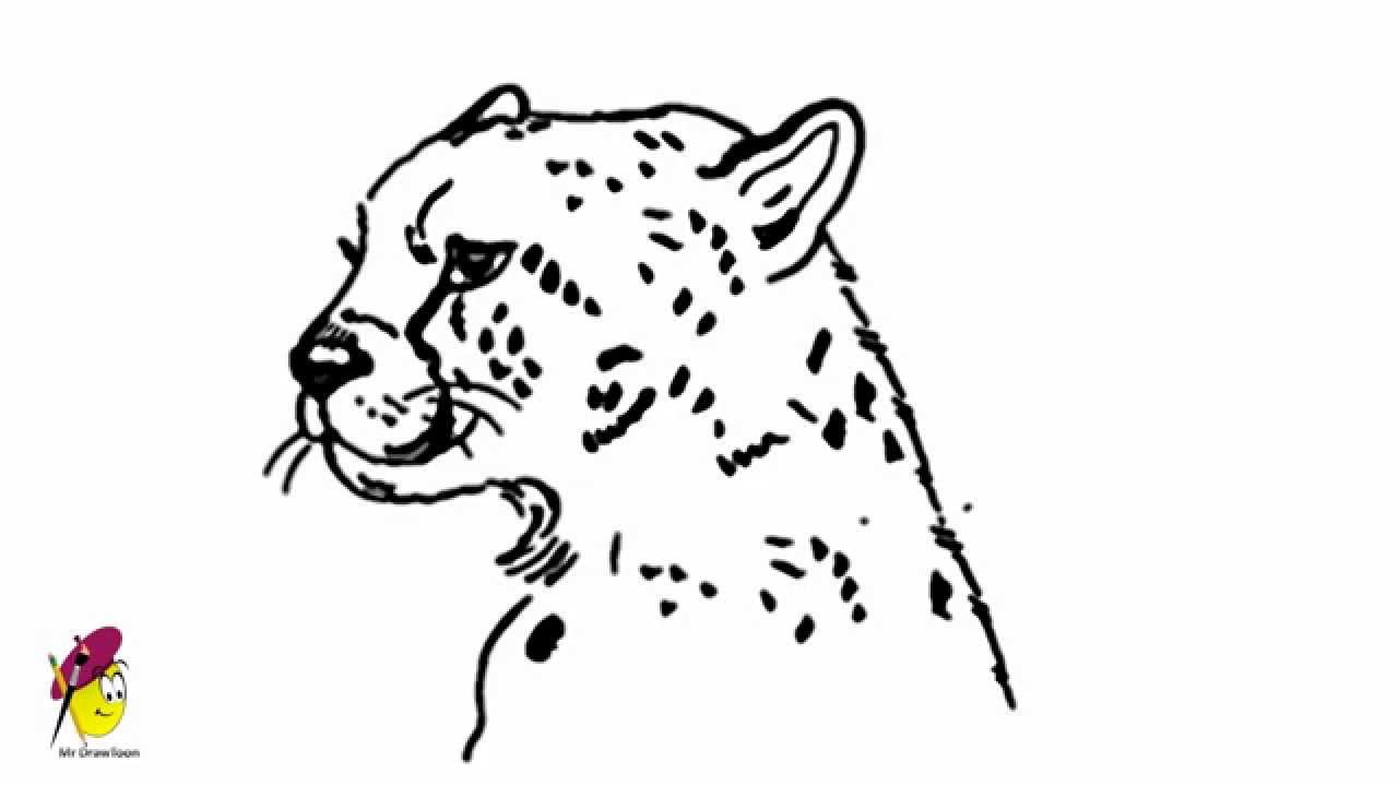 Cheetah Awesome Cheetah Drawing How to draw a Cheetah