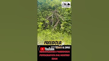 PAREIDOLIA