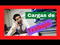 MATERIAL DE APOYO