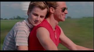 Été 85 - Stars de la pub