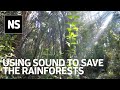 World&#39;s largest sonic survey could save Costa Rican rainforests