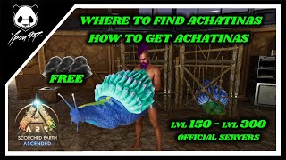 Where And How To Tame Achatinas In Scorched Earth | ARK: Survival Ascended