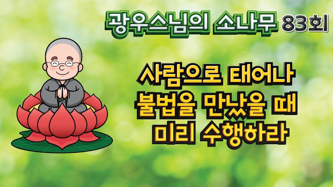 사람으로 태어나 불법을 만났을 때 미리 수행하라 | 광우스님의 소나무83회