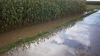 Wateroverlast Geraardsbergsesteenweg 26 Landskouter - 20131017 - 003