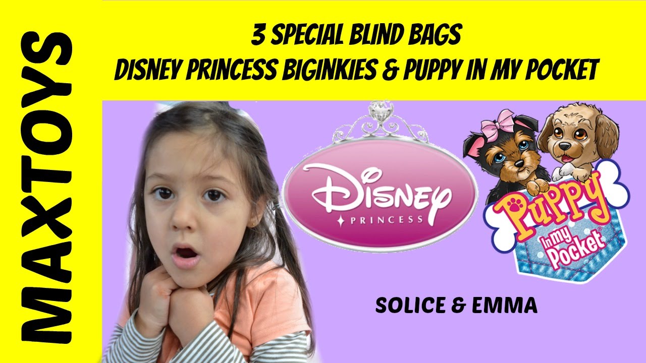 Blind Bags Funny Disney Princess Biginkies & Puppy in My Pocket