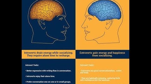Introvert vs Extrovert - A Face-Off!  What It Means For Your Career?