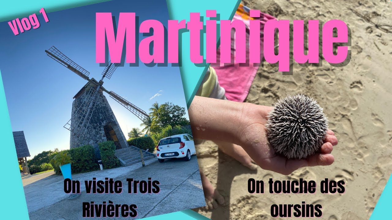 Martinique vlog 1: on touche des oursins et on visite Trois Rivières🍹