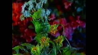 RoundUp commercial from 2000