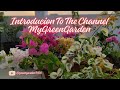 Introduction to the channel MyGreenGarden 